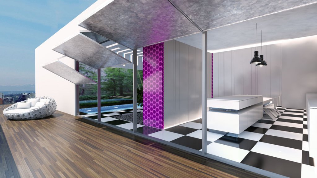 The future house design (4)