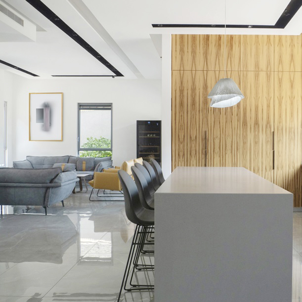 AAA Contemporary style villa design (4) Copy