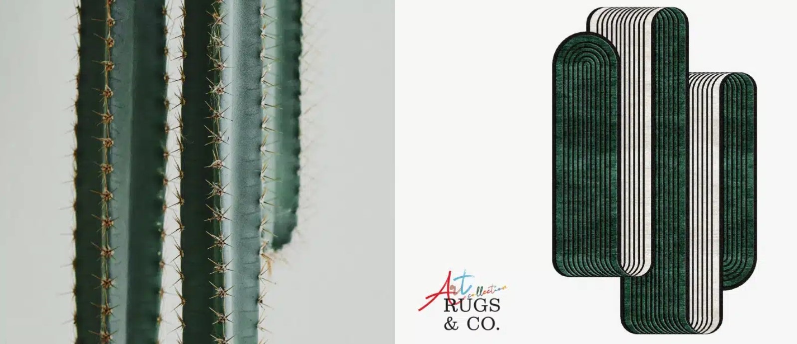 התמונה מאתר הבית של חברת RUG&CO
